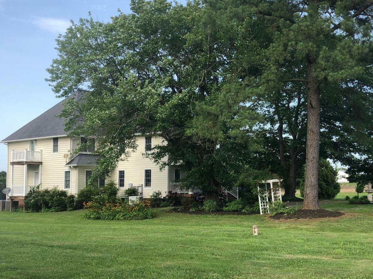 Ma Margarets House Bed And Breakfast Heathsville Eksteriør bilde